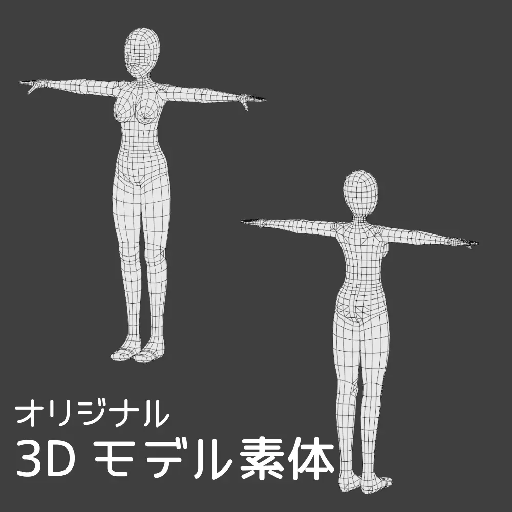 オリジナル 3D モデル素体